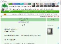 《全世界都以为她是替身》行云舟　^第4章^ 最新更新:2025-04-15 09:01:00 晋江文学城